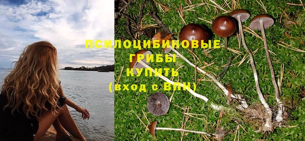 ПСИЛОЦИБИНОВЫЕ ГРИБЫ Пестово