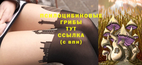 ПСИЛОЦИБИНОВЫЕ ГРИБЫ Пестово