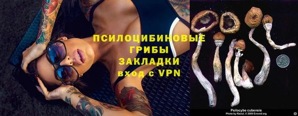 гашик Покачи