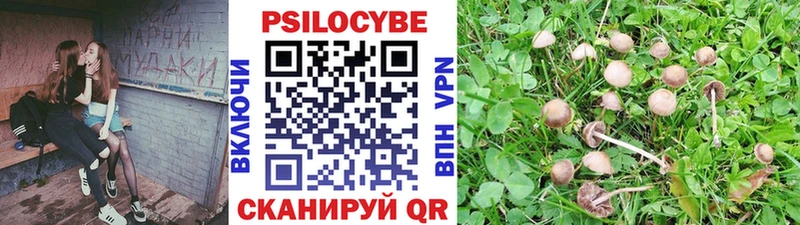 Псилоцибиновые грибы Cubensis  Рыльск 